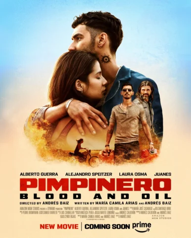 pimpinero-pelicula-poster-386x482-c